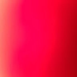 Meet your Posher, Lynn